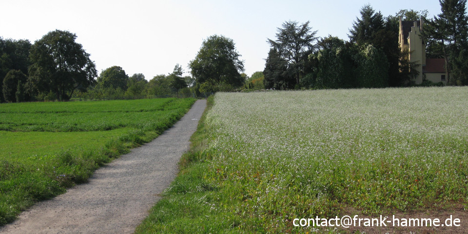 Weg am Oberfeld